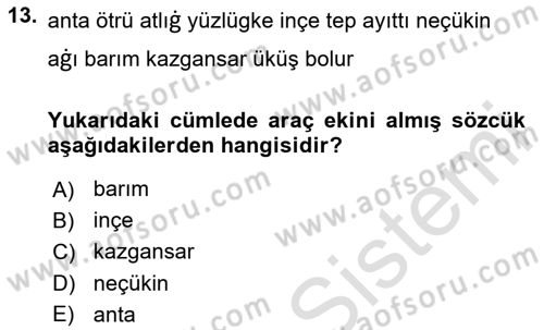 Uygur Türkçesi Dersi 2024 - 2025 Yılı Yaz Okulu Sınav Soruları 13. Soru