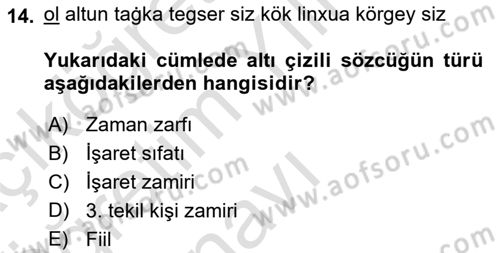 Uygur Türkçesi Dersi 2024 - 2025 Yılı Yaz Okulu Sınav Soruları 14. Soru