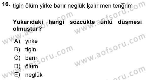 Uygur Türkçesi Dersi 2024 - 2025 Yılı Yaz Okulu Sınav Soruları 16. Soru