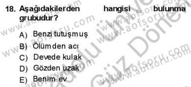 Türkçe Cümle Bilgisi 1 Dersi 2012 - 2013 Yılı (Final) Dönem Sonu Sınav Soruları 18. Soru
