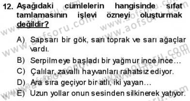 Türkçe Cümle Bilgisi 1 Dersi Ara Sınavı Deneme Sınav Soruları 12. Soru