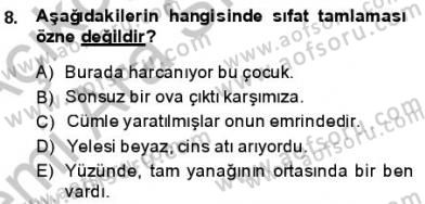 Türkçe Cümle Bilgisi 1 Dersi Ara Sınavı Deneme Sınav Soruları 8. Soru