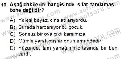 Türkçe Cümle Bilgisi 1 Dersi Ara Sınavı Deneme Sınav Soruları 10. Soru