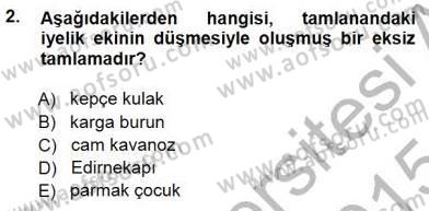 Türkçe Cümle Bilgisi 1 Dersi 2014 - 2015 Yılı (Final) Dönem Sonu Sınav Soruları 2. Soru