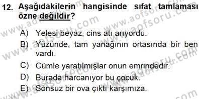 Türkçe Cümle Bilgisi 1 Dersi Ara Sınavı Deneme Sınav Soruları 12. Soru