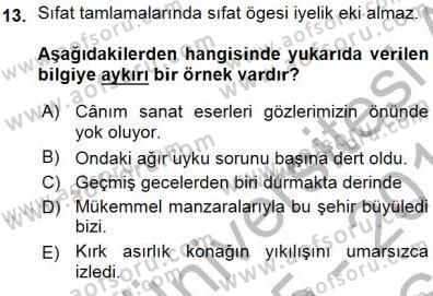 Türkçe Cümle Bilgisi 1 Dersi Ara Sınavı Deneme Sınav Soruları 13. Soru