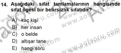 Türkçe Cümle Bilgisi 1 Dersi Ara Sınavı Deneme Sınav Soruları 14. Soru