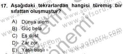 Türkçe Cümle Bilgisi 1 Dersi Ara Sınavı Deneme Sınav Soruları 17. Soru