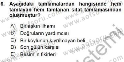 Türkçe Cümle Bilgisi 1 Dersi Ara Sınavı Deneme Sınav Soruları 6. Soru