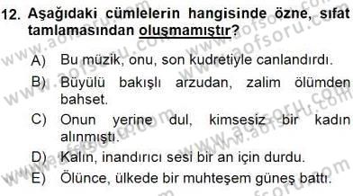 Türkçe Cümle Bilgisi 1 Dersi 2016 - 2017 Yılı (Vize) Ara Sınav Soruları 12. Soru