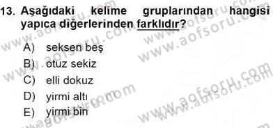 Türkçe Cümle Bilgisi 1 Dersi Ara Sınavı Deneme Sınav Soruları 13. Soru