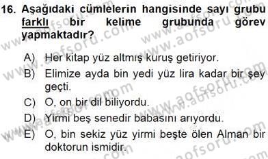 Türkçe Cümle Bilgisi 1 Dersi Ara Sınavı Deneme Sınav Soruları 16. Soru