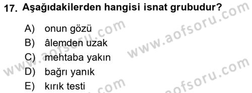 Türkçe Cümle Bilgisi 1 Dersi 2016 - 2017 Yılı (Final) Dönem Sonu Sınav Soruları 17. Soru