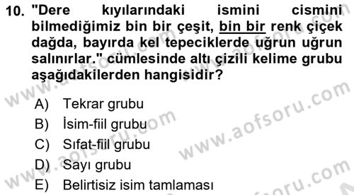 Türkçe Cümle Bilgisi 1 Dersi 2017 - 2018 Yılı (Vize) Ara Sınav Soruları 10. Soru