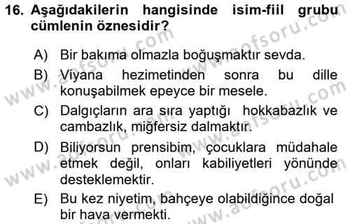 Türkçe Cümle Bilgisi 1 Dersi Ara Sınavı Deneme Sınav Soruları 16. Soru