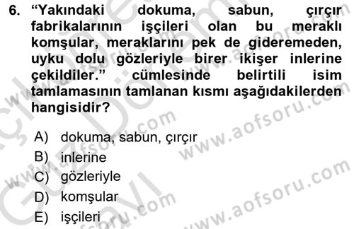 Türkçe Cümle Bilgisi 1 Dersi Ara Sınavı Deneme Sınav Soruları 6. Soru