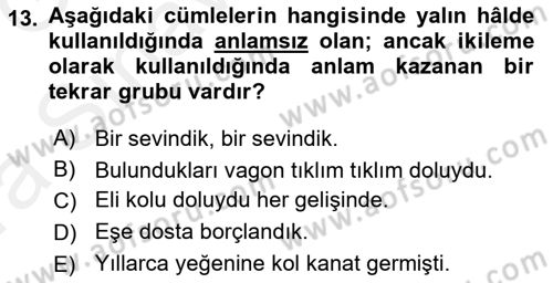 Türkçe Cümle Bilgisi 1 Dersi Ara Sınavı Deneme Sınav Soruları 13. Soru