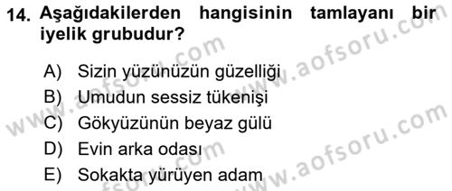 Türkçe Cümle Bilgisi 1 Dersi Ara Sınavı Deneme Sınav Soruları 14. Soru