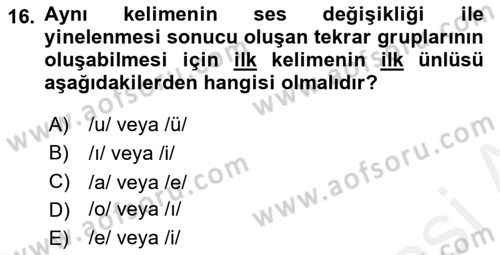 Türkçe Cümle Bilgisi 1 Dersi Ara Sınavı Deneme Sınav Soruları 16. Soru