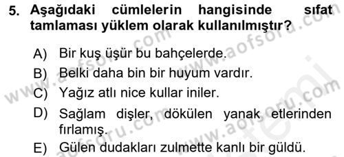 Türkçe Cümle Bilgisi 1 Dersi Ara Sınavı Deneme Sınav Soruları 5. Soru