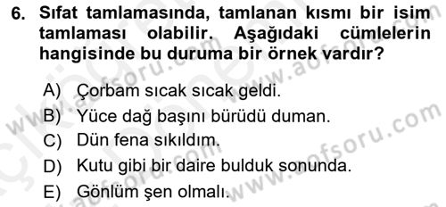 Türkçe Cümle Bilgisi 1 Dersi Ara Sınavı Deneme Sınav Soruları 6. Soru