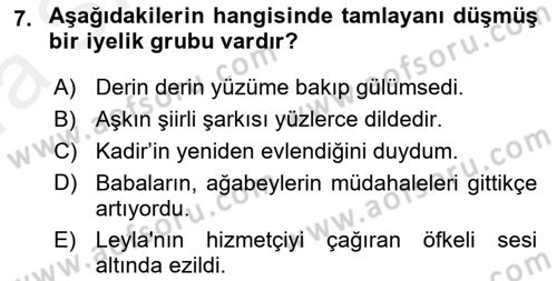Türkçe Cümle Bilgisi 1 Dersi Ara Sınavı Deneme Sınav Soruları 7. Soru