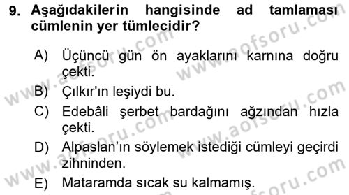 Türkçe Cümle Bilgisi 1 Dersi Ara Sınavı Deneme Sınav Soruları 9. Soru