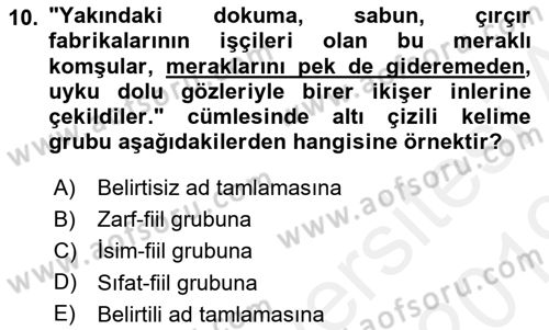 Türkçe Cümle Bilgisi 1 Dersi 2018 - 2019 Yılı (Final) Dönem Sonu Sınav Soruları 10. Soru