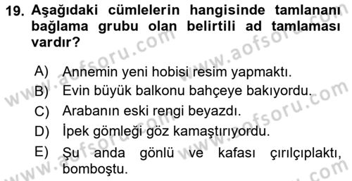 Türkçe Cümle Bilgisi 1 Dersi 2018 - 2019 Yılı (Final) Dönem Sonu Sınav Soruları 19. Soru