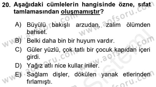 Türkçe Cümle Bilgisi 1 Dersi 2018 - 2019 Yılı (Final) Dönem Sonu Sınav Soruları 20. Soru