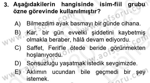 Türkçe Cümle Bilgisi 1 Dersi 2018 - 2019 Yılı (Final) Dönem Sonu Sınav Soruları 3. Soru