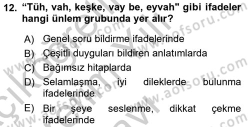 Türkçe Cümle Bilgisi 1 Dersi 2018 - 2019 Yılı Yaz Okulu Sınav Soruları 12. Soru