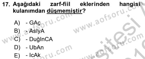 Türkçe Cümle Bilgisi 1 Dersi 2018 - 2019 Yılı Yaz Okulu Sınav Soruları 17. Soru