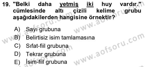 Türkçe Cümle Bilgisi 1 Dersi 2018 - 2019 Yılı Yaz Okulu Sınav Soruları 19. Soru