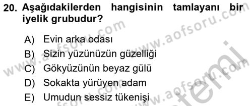 Türkçe Cümle Bilgisi 1 Dersi 2018 - 2019 Yılı Yaz Okulu Sınav Soruları 20. Soru