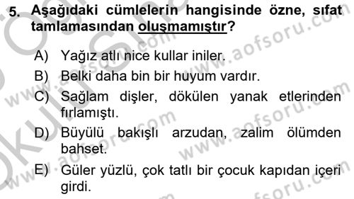 Türkçe Cümle Bilgisi 1 Dersi 2018 - 2019 Yılı Yaz Okulu Sınav Soruları 5. Soru