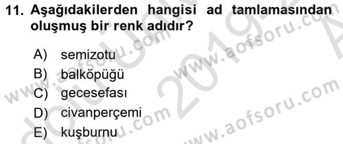 Türkçe Cümle Bilgisi 1 Dersi Ara Sınavı Deneme Sınav Soruları 11. Soru
