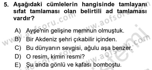 Türkçe Cümle Bilgisi 1 Dersi 2019 - 2020 Yılı (Vize) Ara Sınav Soruları 5. Soru