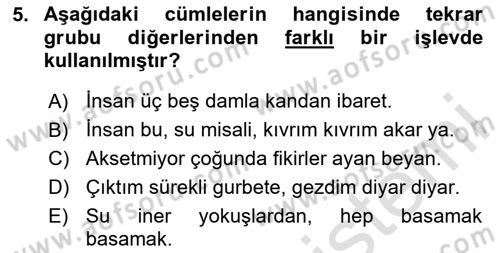 Türkçe Cümle Bilgisi 1 Dersi 2020 - 2021 Yılı Yaz Okulu Sınav Soruları 5. Soru