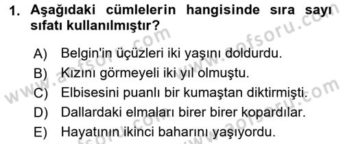 Türkçe Cümle Bilgisi 1 Dersi 2021 - 2022 Yılı (Vize) Ara Sınav Soruları 1. Soru