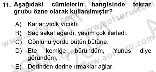 Türkçe Cümle Bilgisi 1 Dersi 2021 - 2022 Yılı (Vize) Ara Sınav Soruları 11. Soru
