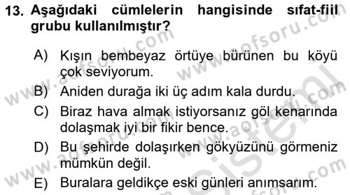 Türkçe Cümle Bilgisi 1 Dersi 2021 - 2022 Yılı (Vize) Ara Sınav Soruları 13. Soru
