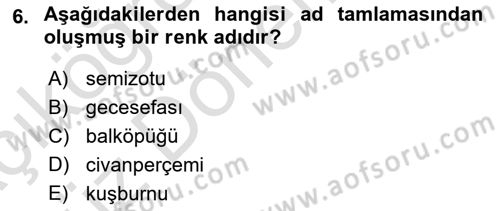 Türkçe Cümle Bilgisi 1 Dersi 2021 - 2022 Yılı (Vize) Ara Sınav Soruları 6. Soru