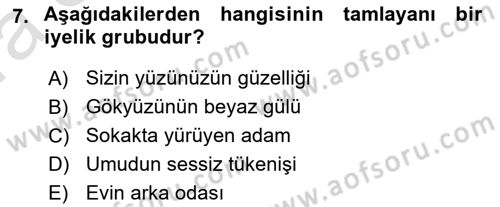 Türkçe Cümle Bilgisi 1 Dersi 2021 - 2022 Yılı (Vize) Ara Sınav Soruları 7. Soru