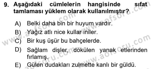 Türkçe Cümle Bilgisi 1 Dersi 2021 - 2022 Yılı (Vize) Ara Sınav Soruları 9. Soru