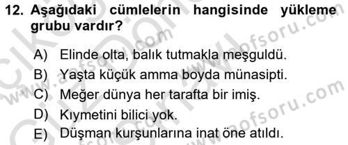 Türkçe Cümle Bilgisi 1 Dersi 2021 - 2022 Yılı (Final) Dönem Sonu Sınav Soruları 12. Soru