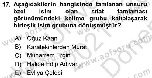 Türkçe Cümle Bilgisi 1 Dersi 2021 - 2022 Yılı (Final) Dönem Sonu Sınav Soruları 17. Soru