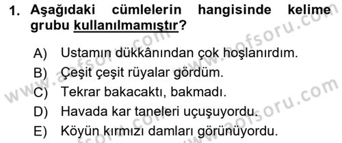 Türkçe Cümle Bilgisi 1 Dersi 2021 - 2022 Yılı Yaz Okulu Sınav Soruları 1. Soru