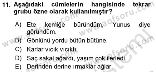 Türkçe Cümle Bilgisi 1 Dersi 2022 - 2023 Yılı (Vize) Ara Sınav Soruları 11. Soru
