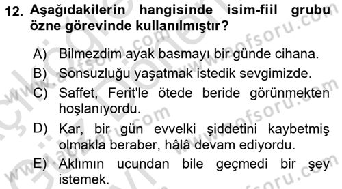 Türkçe Cümle Bilgisi 1 Dersi 2022 - 2023 Yılı (Vize) Ara Sınav Soruları 12. Soru